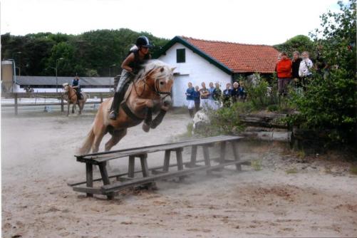 omdat iedereen zo nu en dan over een picknicktafel springt