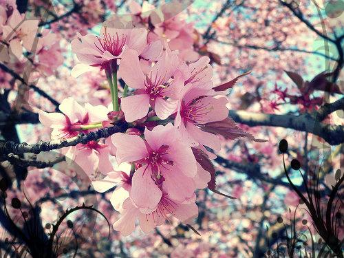 Dit is de bewerkte foto