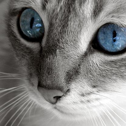 Dit is de bewerkte foto