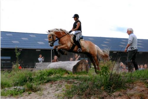 omdat kros met mijn schattepoepiepaardendier super vet is