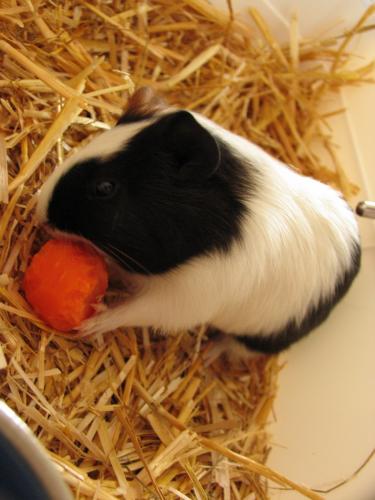 Sweetest ever. I miss you. � 15/04/2004 - 30/08/2012