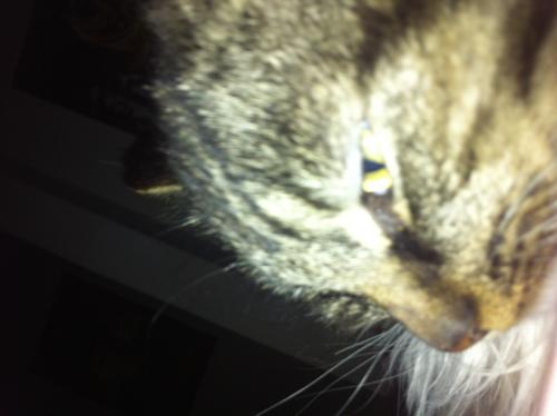 Jaaaaaaaaaaaameeeeeessss <33