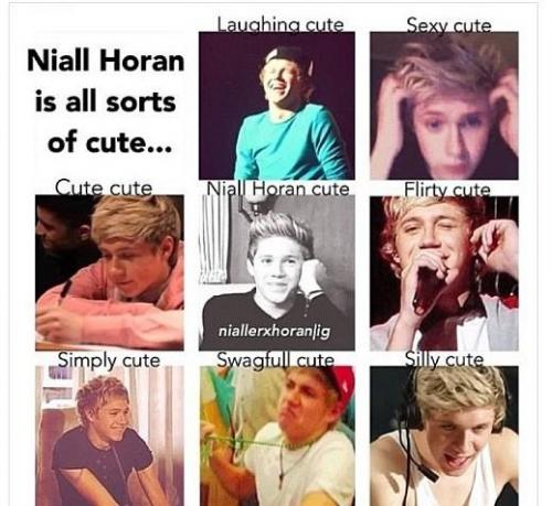 Cuteness overload :3