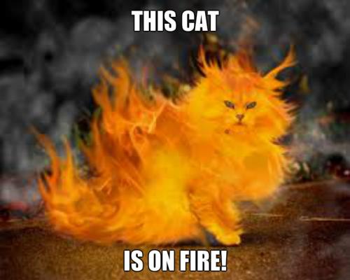 stuur pb als je wilt weten hoe je het moet maken :P