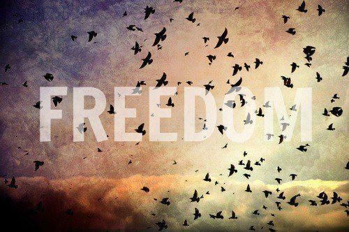 Freedom!!