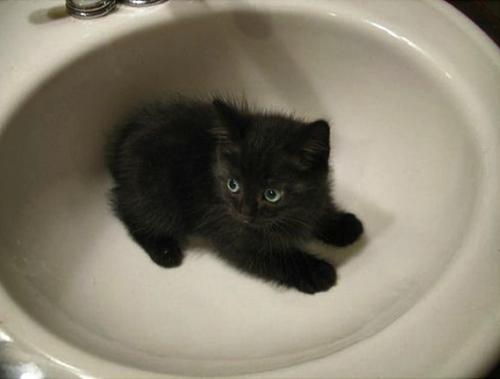 Jack......What are you doing?