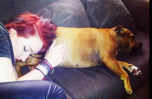 Sleeping on your dog is the best