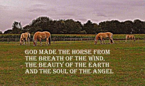 Voor mijn schoolwerk gemaakt, ben er trots op :)