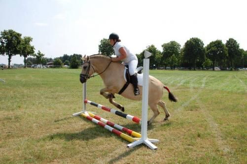 Mijn Fjordje haar eerste springwedstrijd.