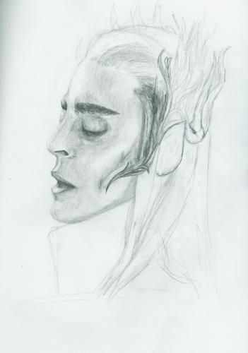 Thranduil WIP