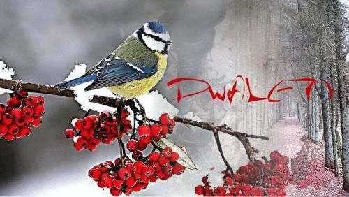 De cover van Dwalen.