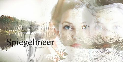 De cover van Spiegelmeer.