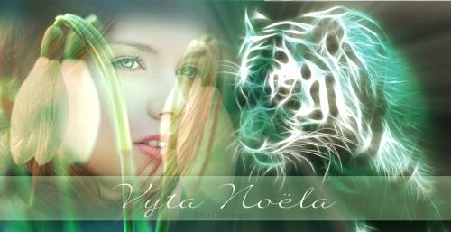 De cover van Vyta No�la (2)