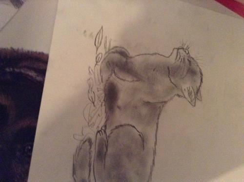 Blauwster (heb ik getekend) (sorry dat hij op z'n zij ligt)