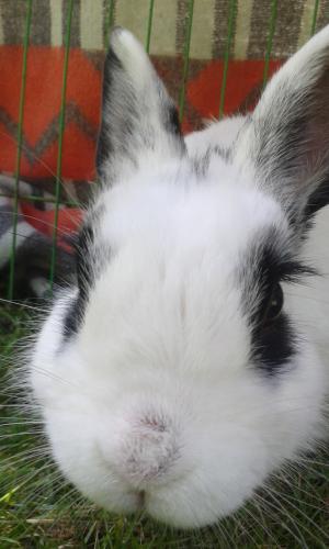 Schattig. Gewoon schattig.