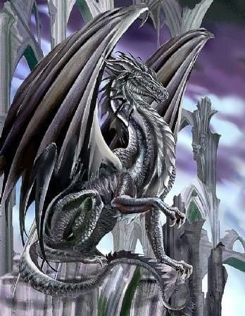 Black Dragon